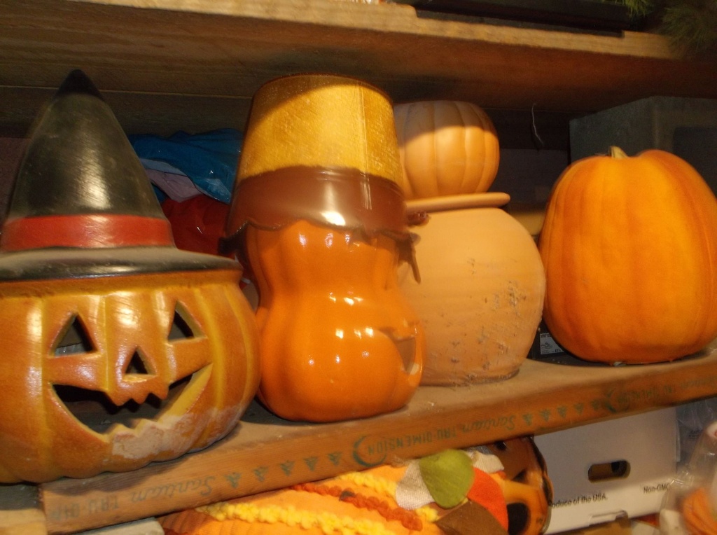 DSCF0144.JPG