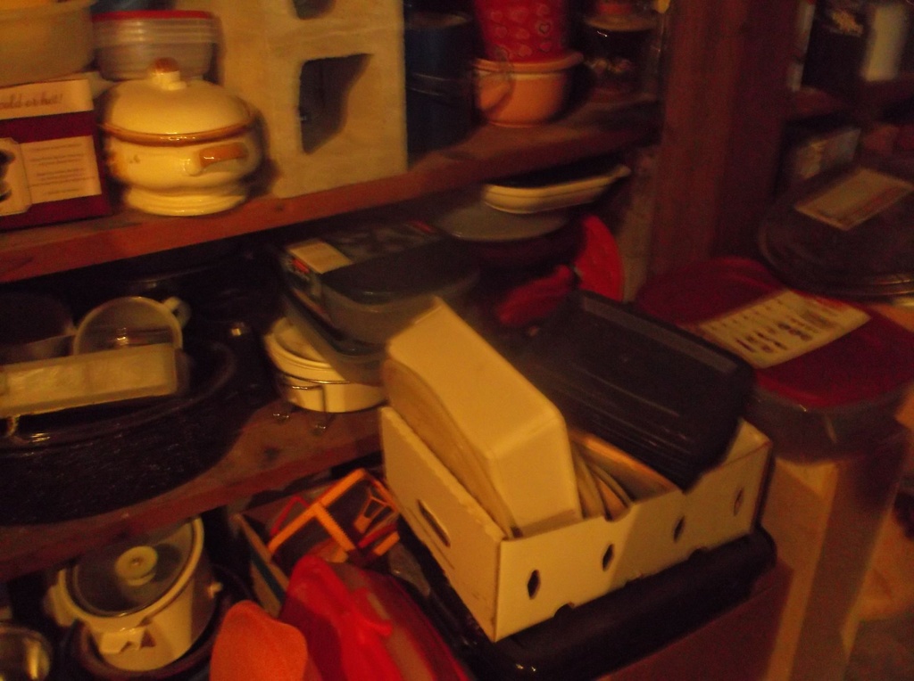 DSCF0140.JPG