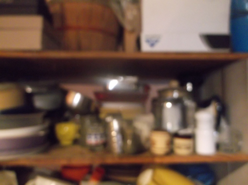 DSCF0139.JPG
