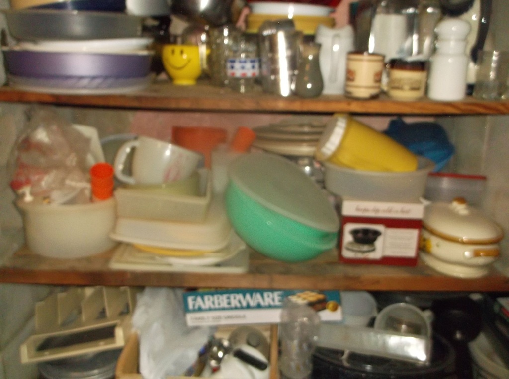 DSCF0138.JPG