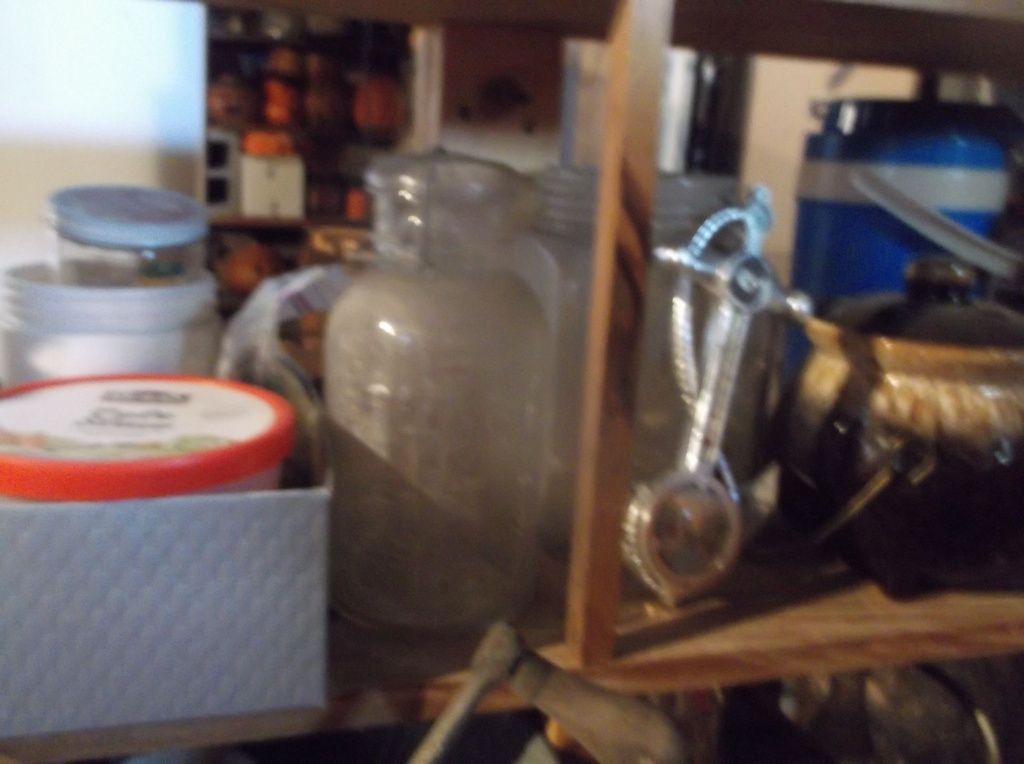 DSCF0137.JPG