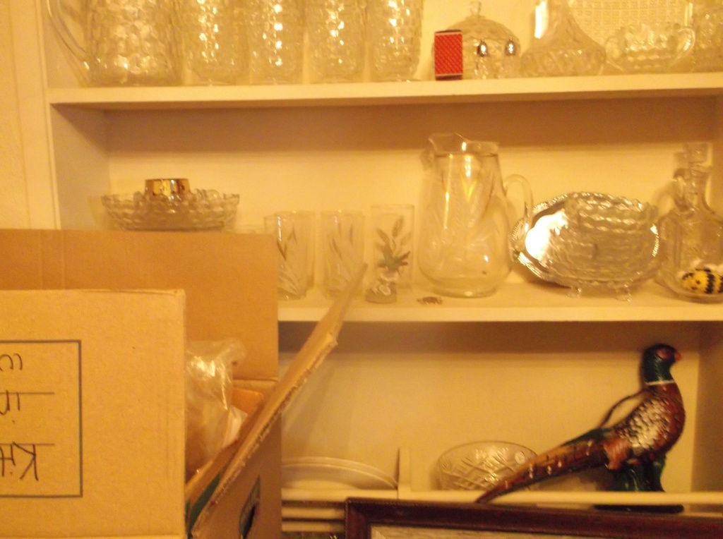 DSCF9976.JPG