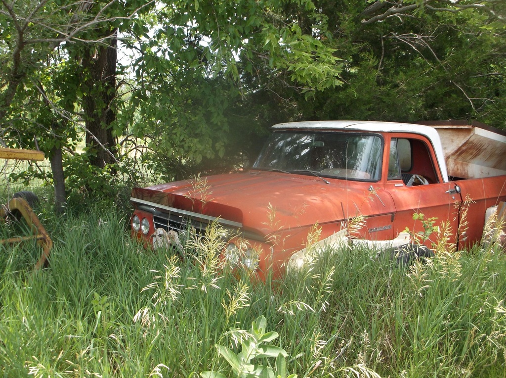 DSCF9740.JPG