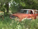 DSCF9740.JPG