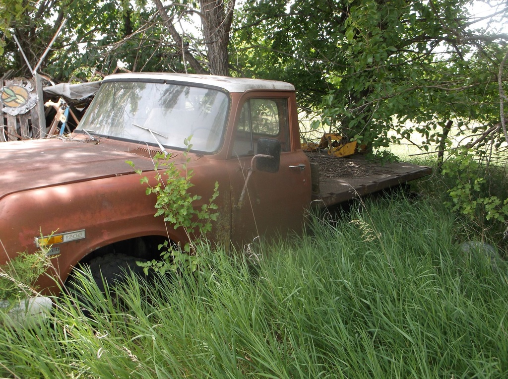 DSCF9737.JPG