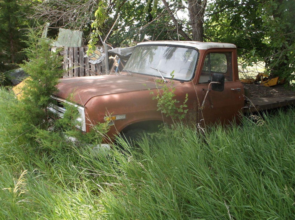 DSCF9736.JPG