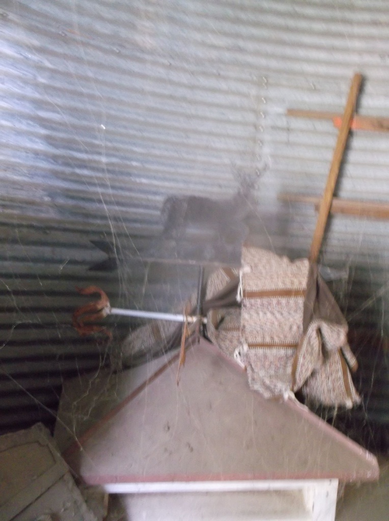 DSCF9704.JPG