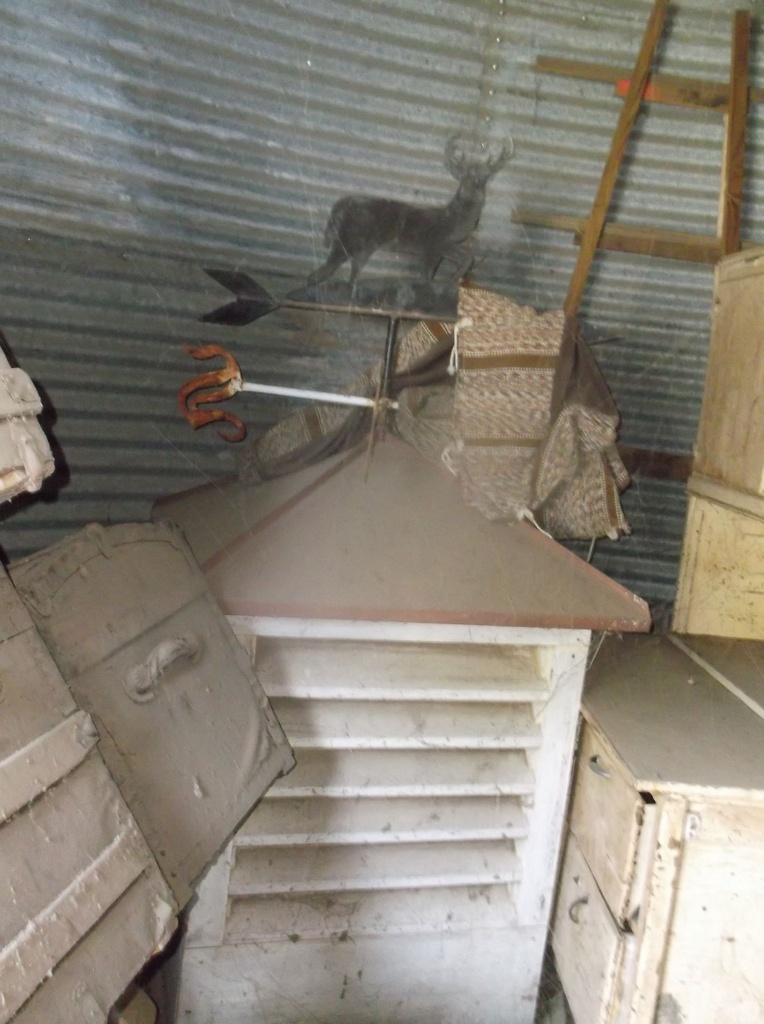 DSCF9703.JPG