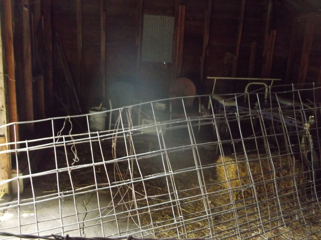 DSCF9695.JPG