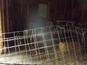 DSCF9695.JPG