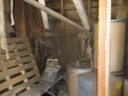 DSCF9694.JPG
