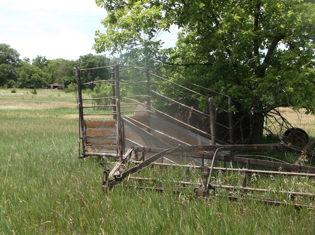 DSCF9725.JPG