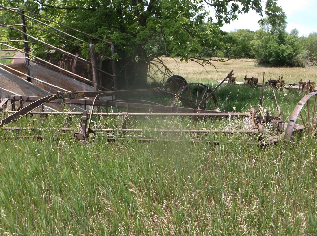 DSCF9724.JPG