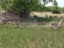 DSCF9724.JPG