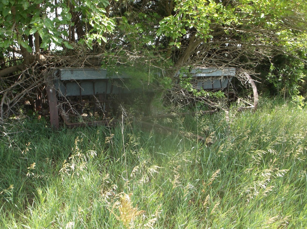 DSCF9723.JPG