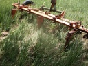 DSCF9721.JPG