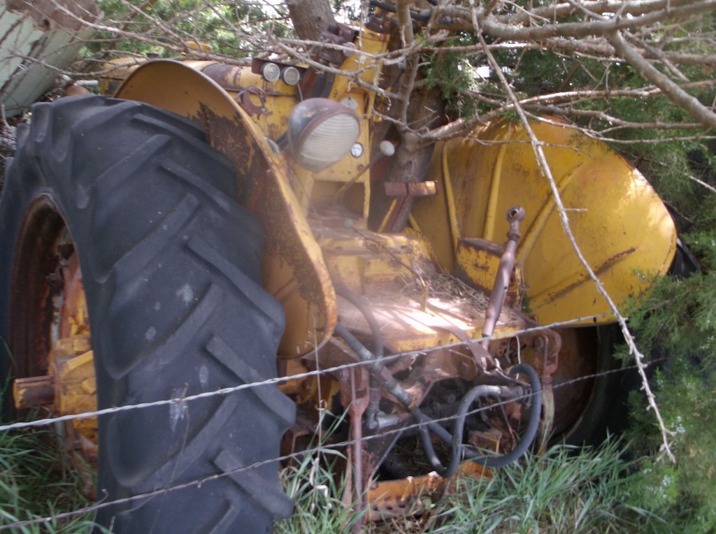 DSCF9720.JPG