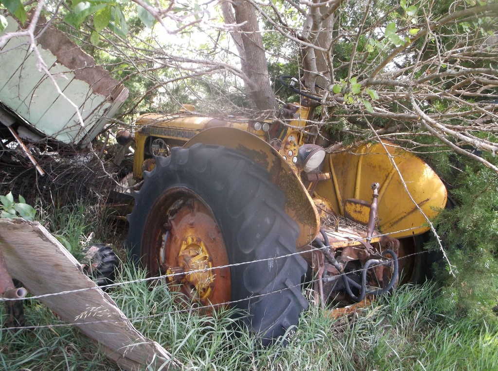 DSCF9718.JPG