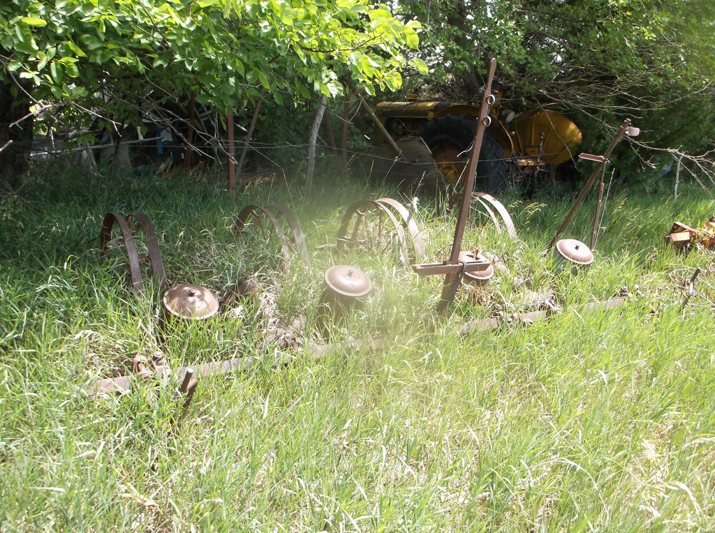 DSCF9716.JPG