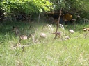 DSCF9716.JPG