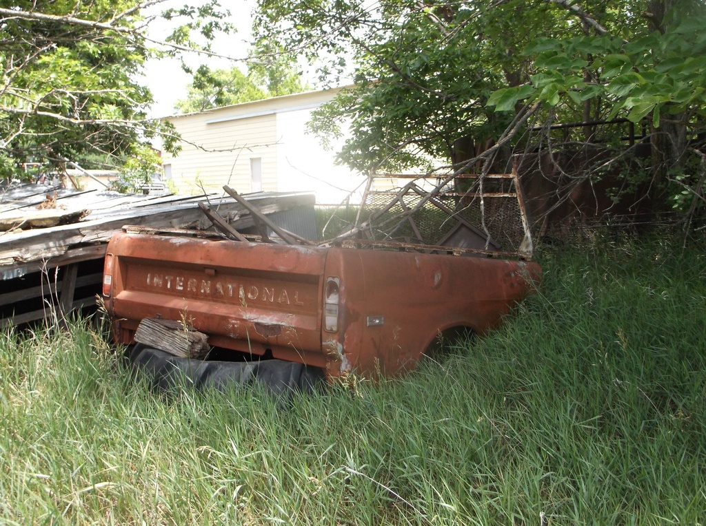 DSCF9715.JPG