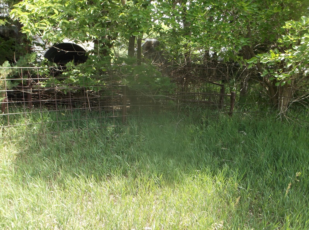 DSCF9714.JPG
