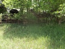 DSCF9714.JPG