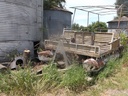 DSCF9710.JPG