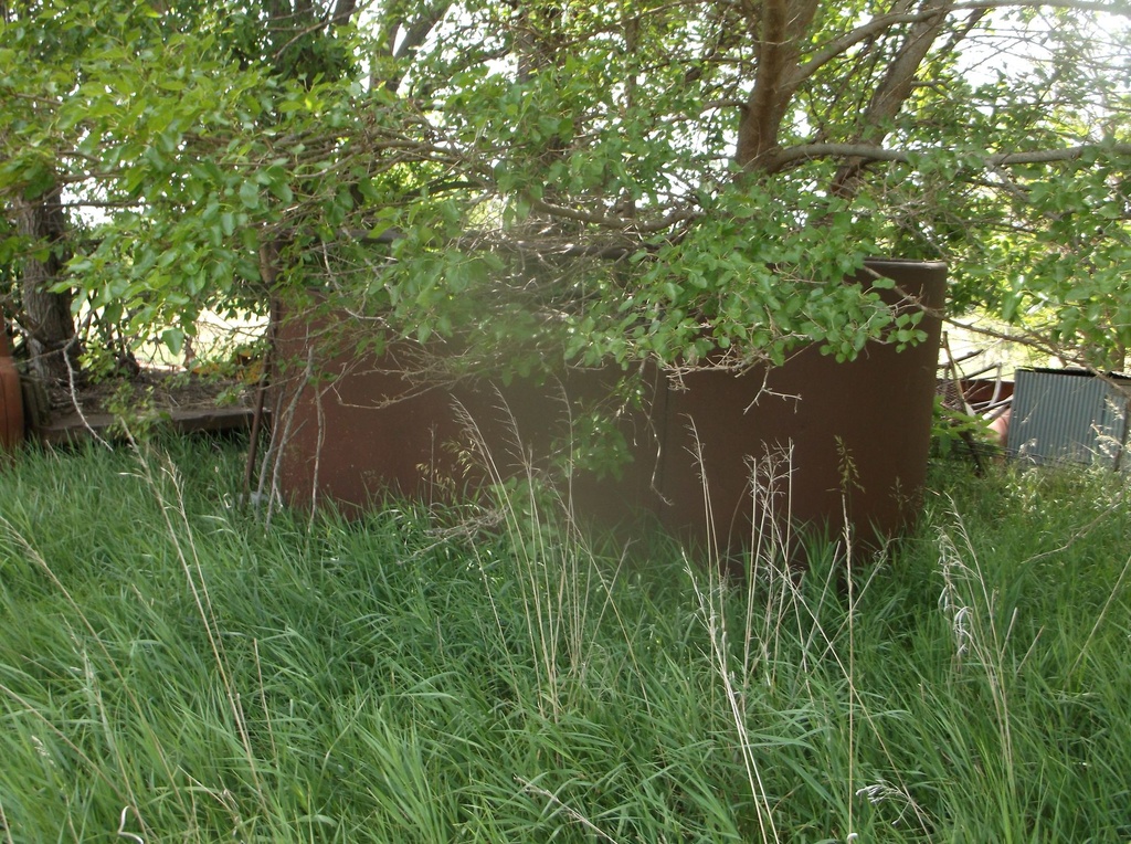 DSCF9735.JPG