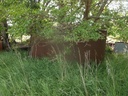 DSCF9735.JPG