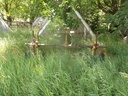 DSCF9734.JPG