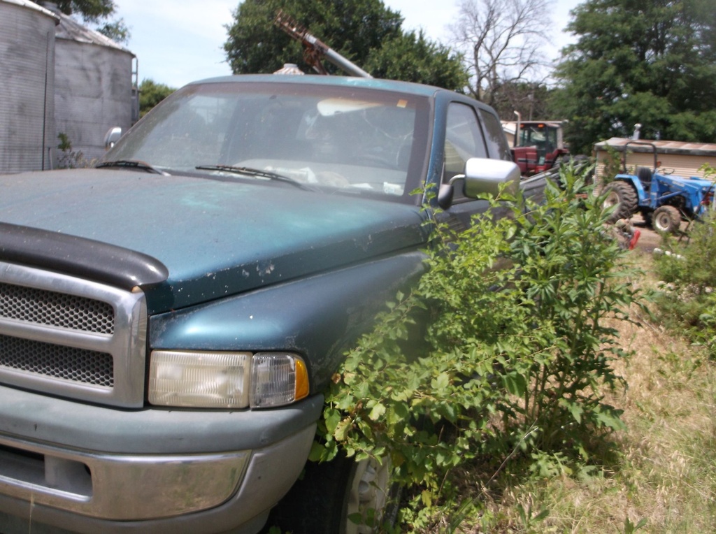 DSCF9732.JPG