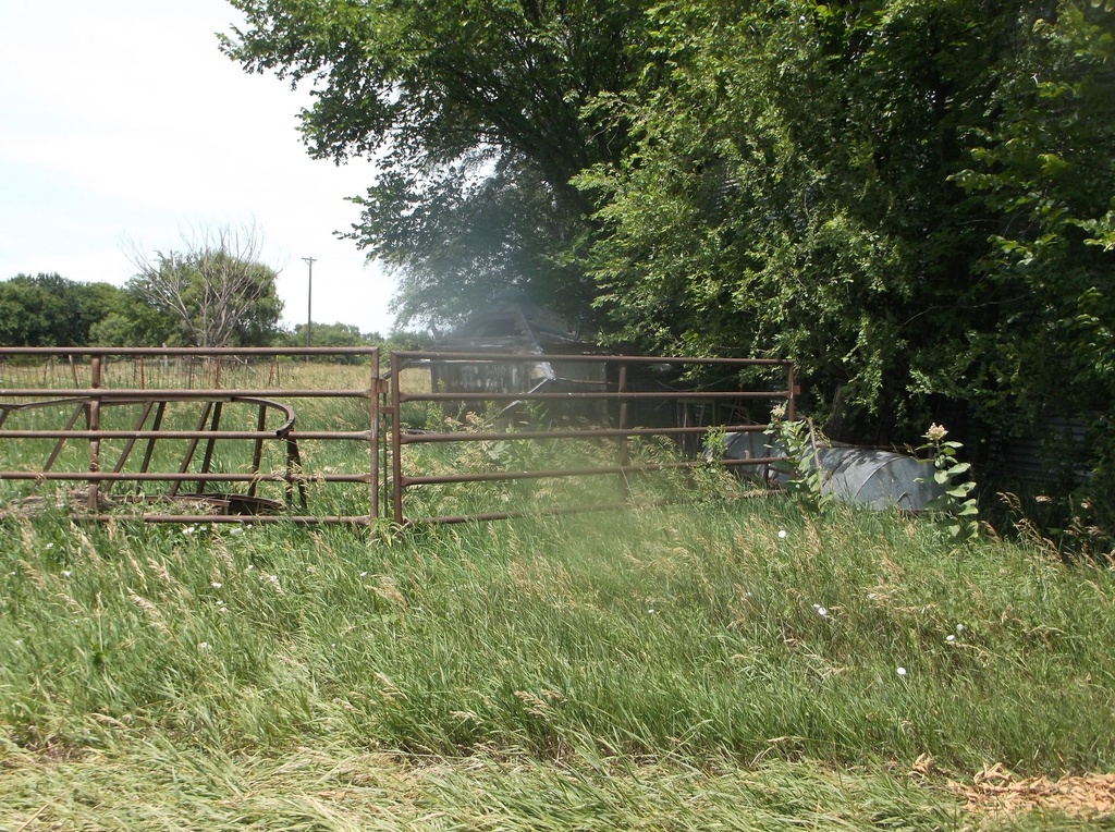 DSCF9730.JPG
