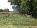 DSCF9730.JPG
