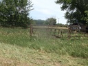 DSCF9729.JPG