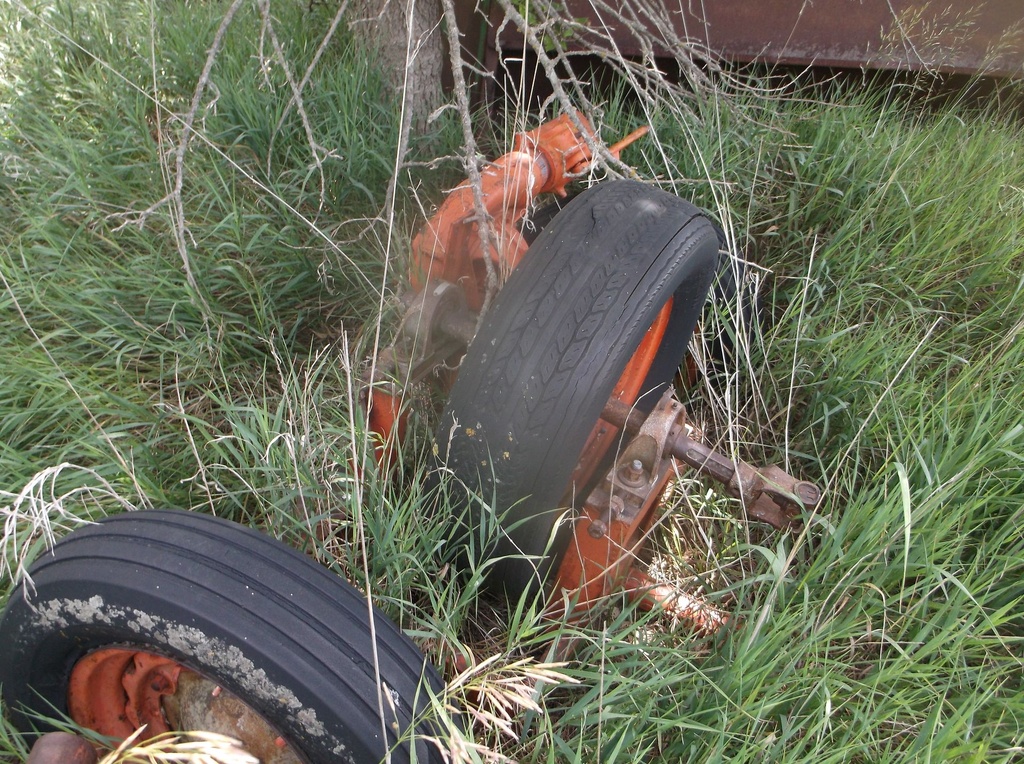 DSCF9728.JPG
