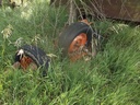 DSCF9727.JPG