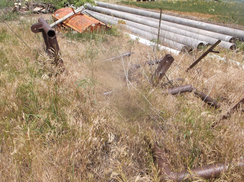 DSCF9747.JPG