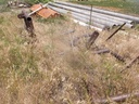 DSCF9747.JPG