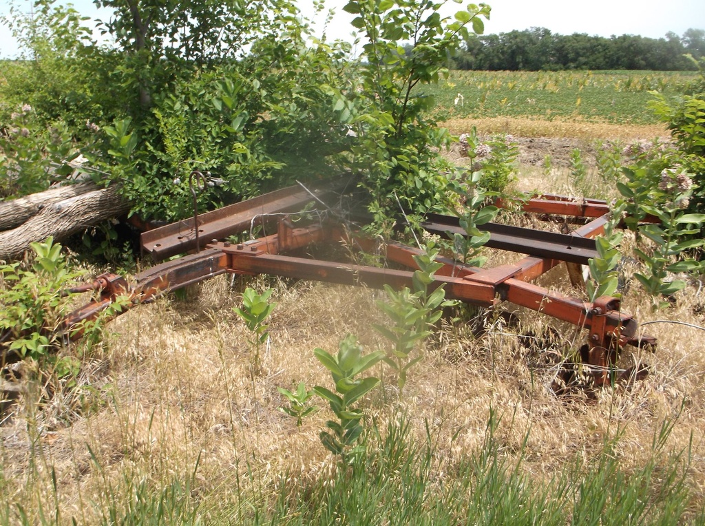 DSCF9745.JPG