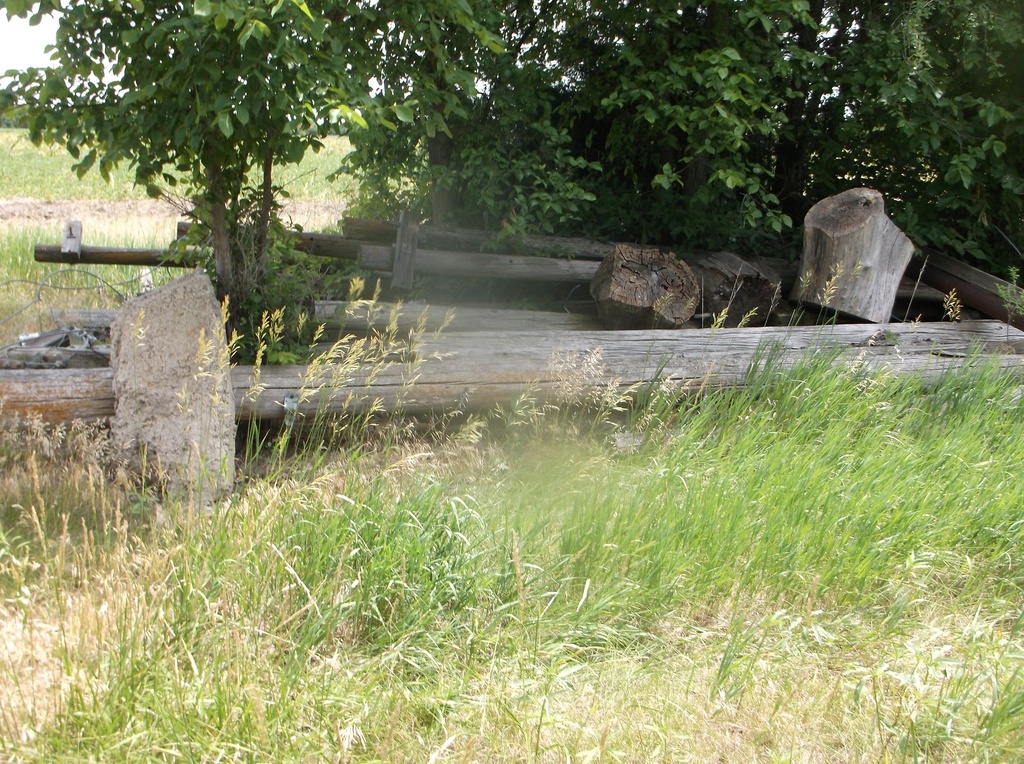 DSCF9743.JPG