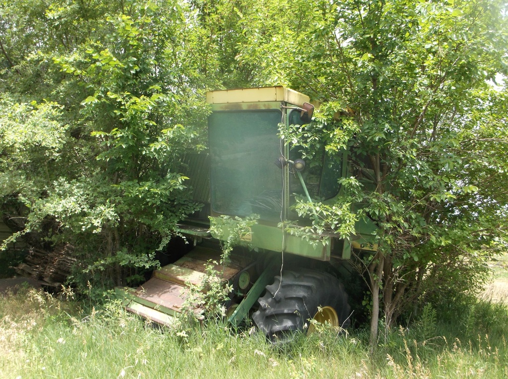DSCF9742.JPG