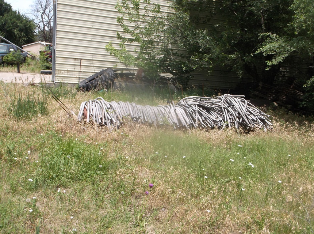 DSCF9741.JPG