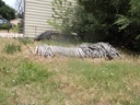 DSCF9741.JPG