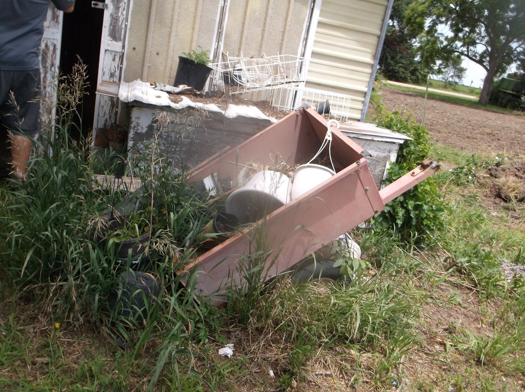 DSCF9767.JPG