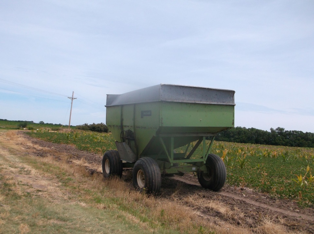 DSCF9761.JPG