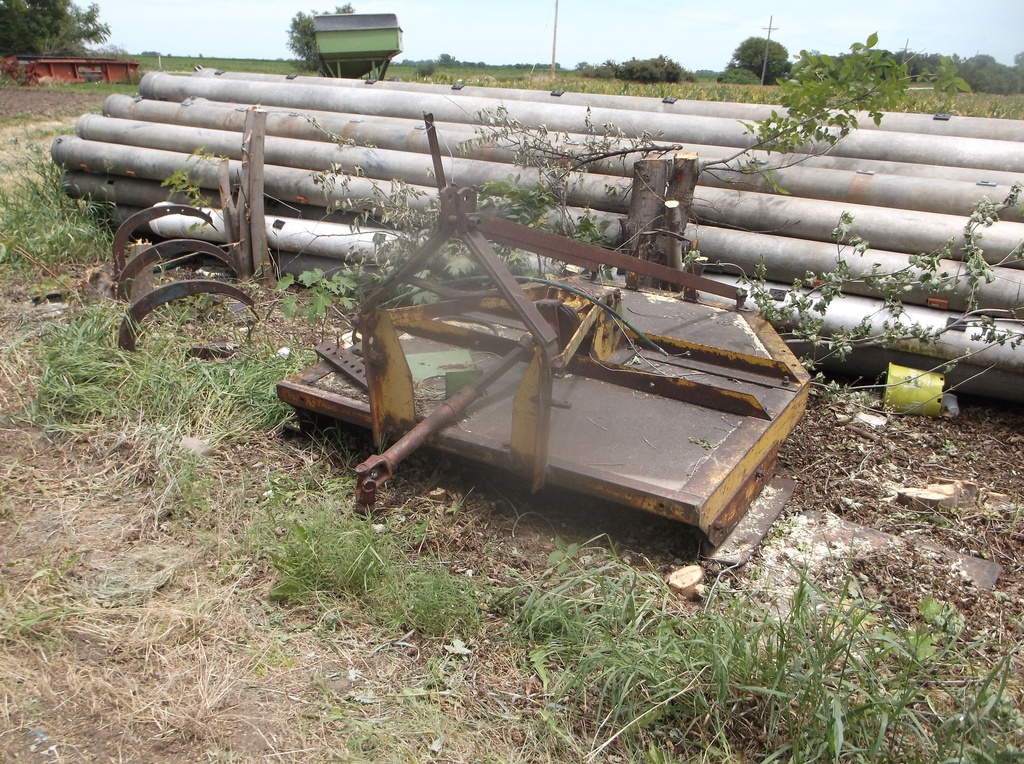 DSCF9759.JPG