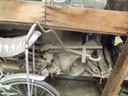 DSCF9789.JPG