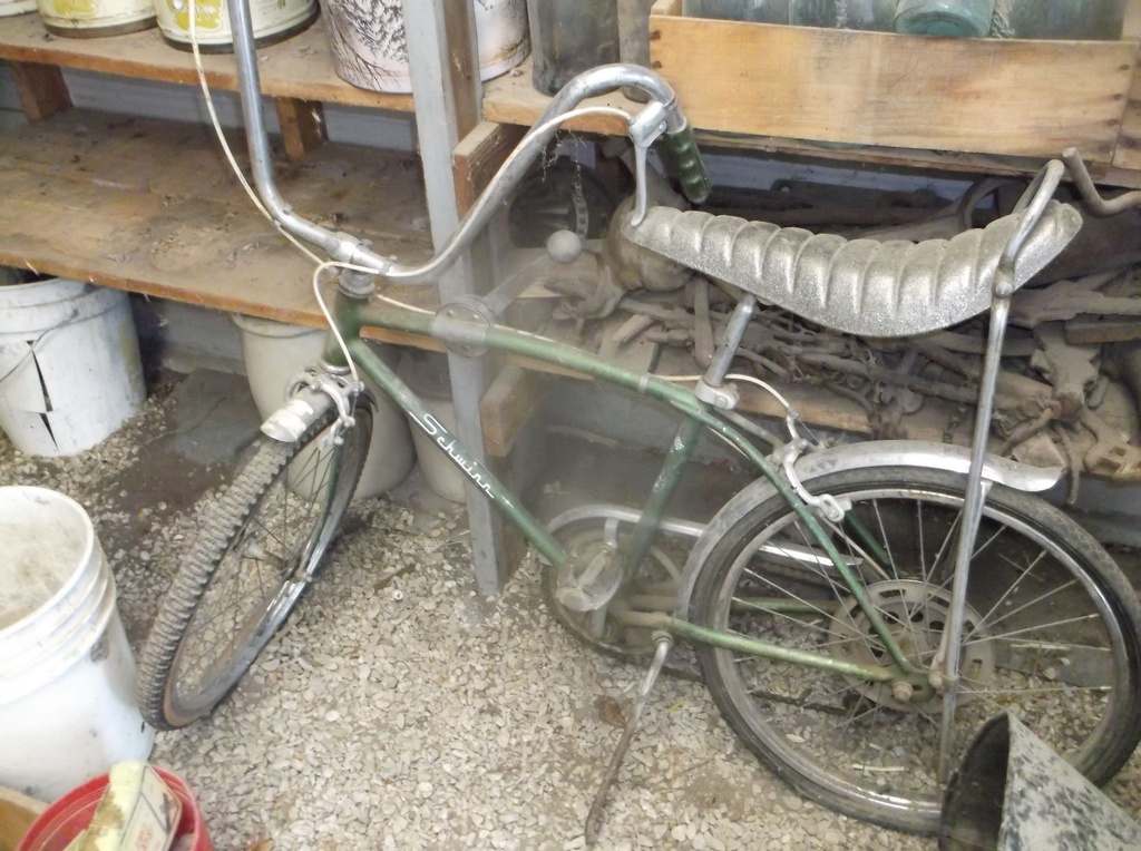 DSCF9788.JPG