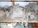 DSCF9784.JPG